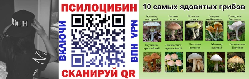 магазин продажи   Среднеколымск  Псилоцибиновые грибы MAGIC MUSHROOMS 